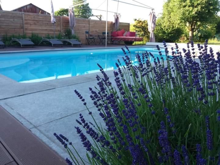 Chambres D Hotes ,Hotel ,Secret D'Une Nuit A Vicq Pres De Onnaing,Avec Piscine Exteriör bild