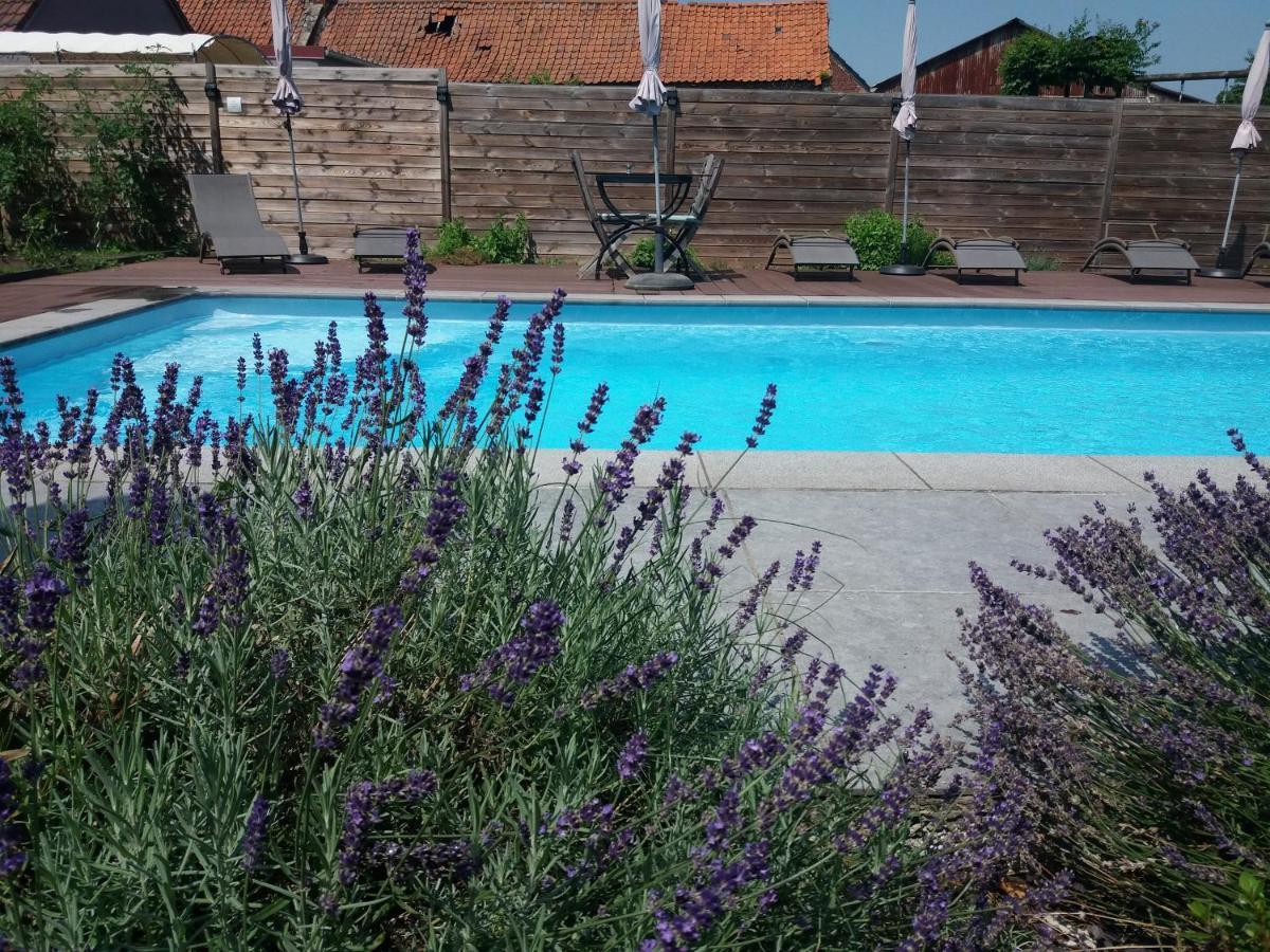 Chambres D Hotes ,Hotel ,Secret D'Une Nuit A Vicq Pres De Onnaing,Avec Piscine Exteriör bild
